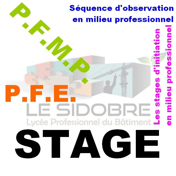 Logo PFMP.jpg