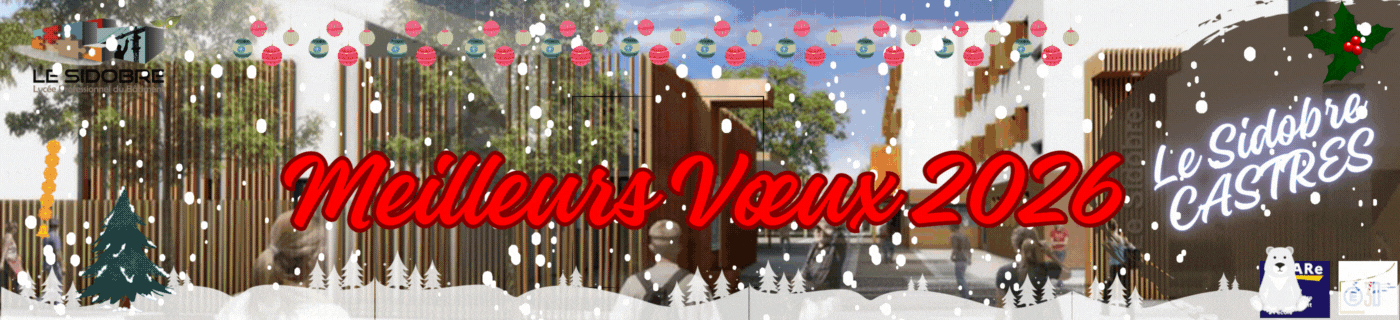 Voeux LP Le SIDOBRE.gif
